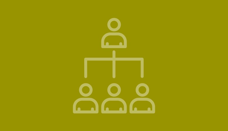 Limited Liability Company (LLC)