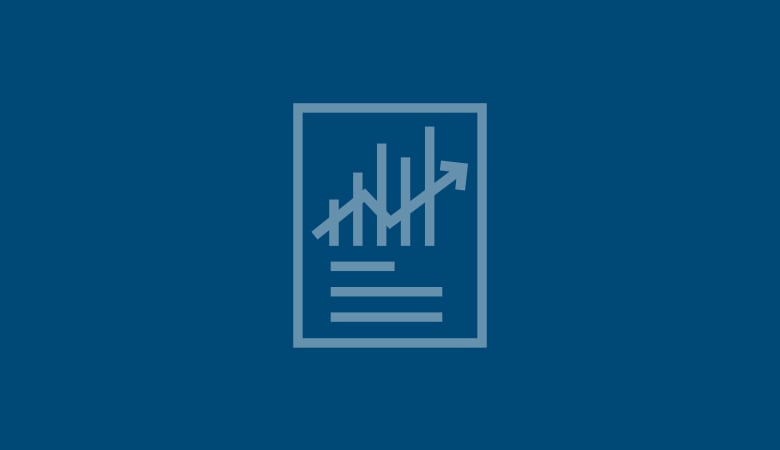 Pro Forma Income Statement